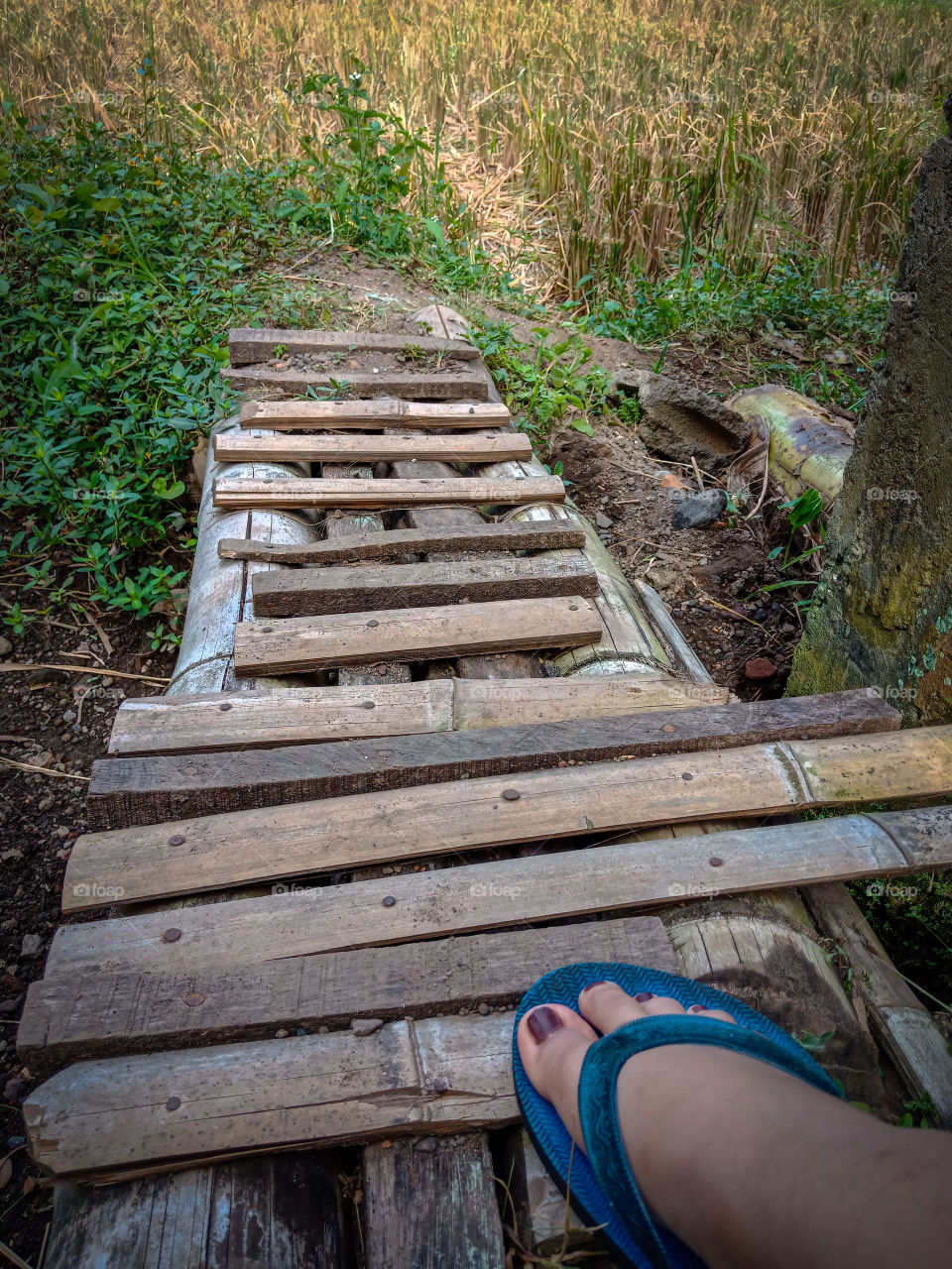 cross the wooden bridge
