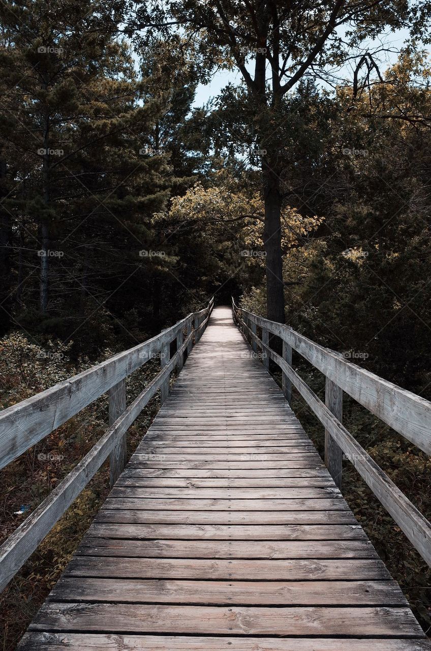 nice walk way heading towards the grand bend beach.