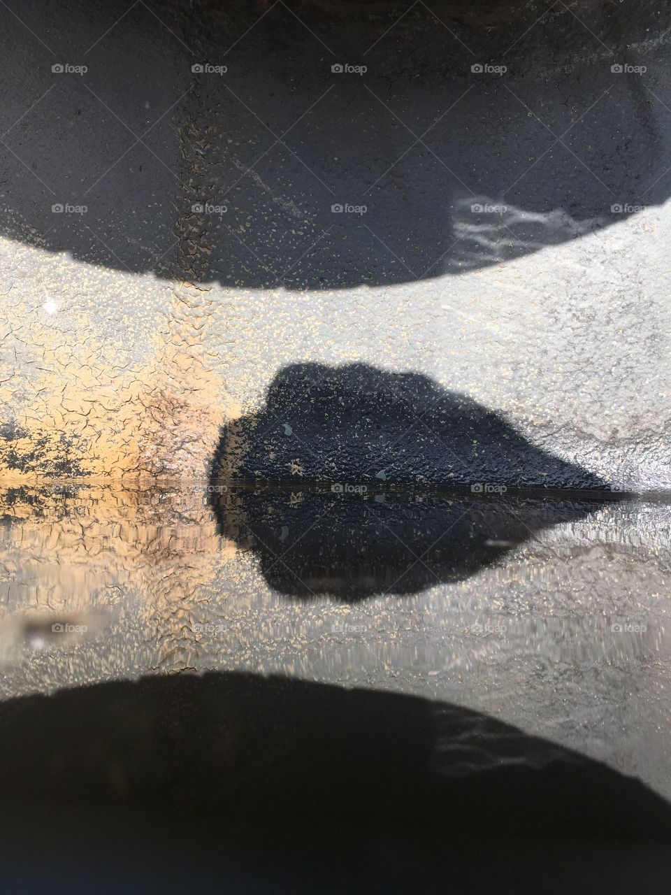 Reflection in the water 