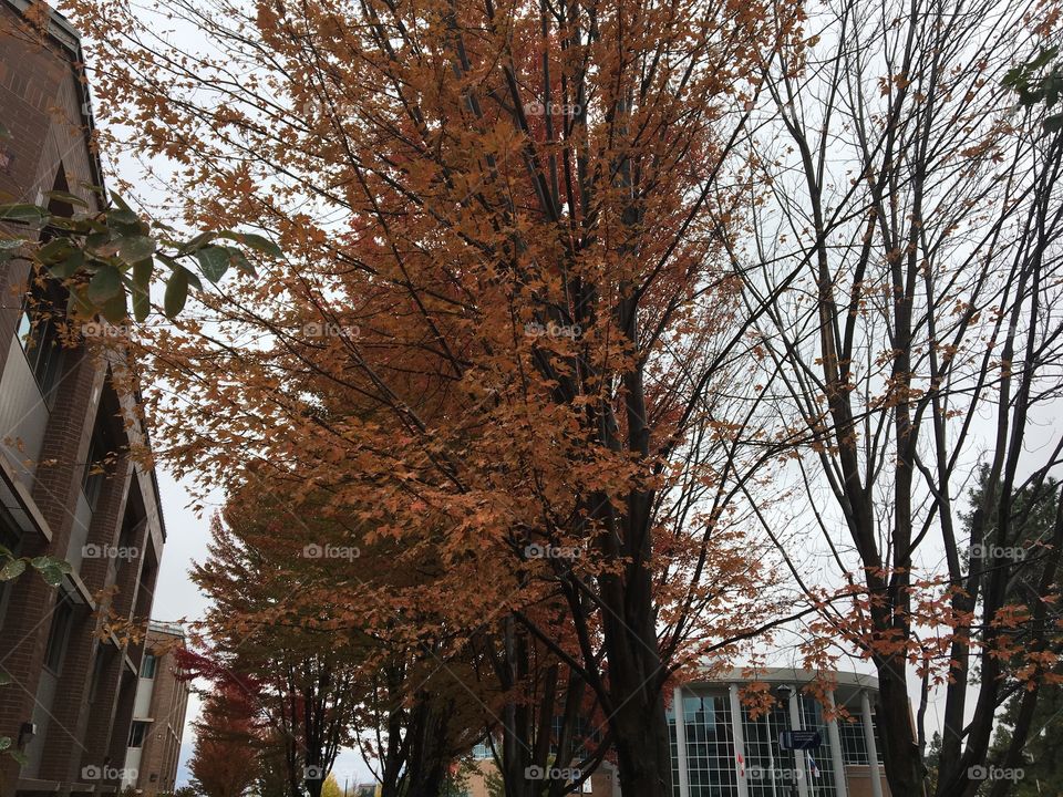 Beautiful autumn day 