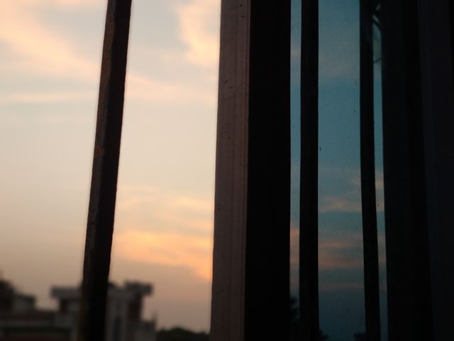 beauty of nature