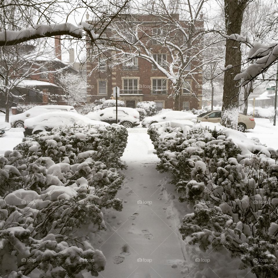 Pathway home. In front of my building.