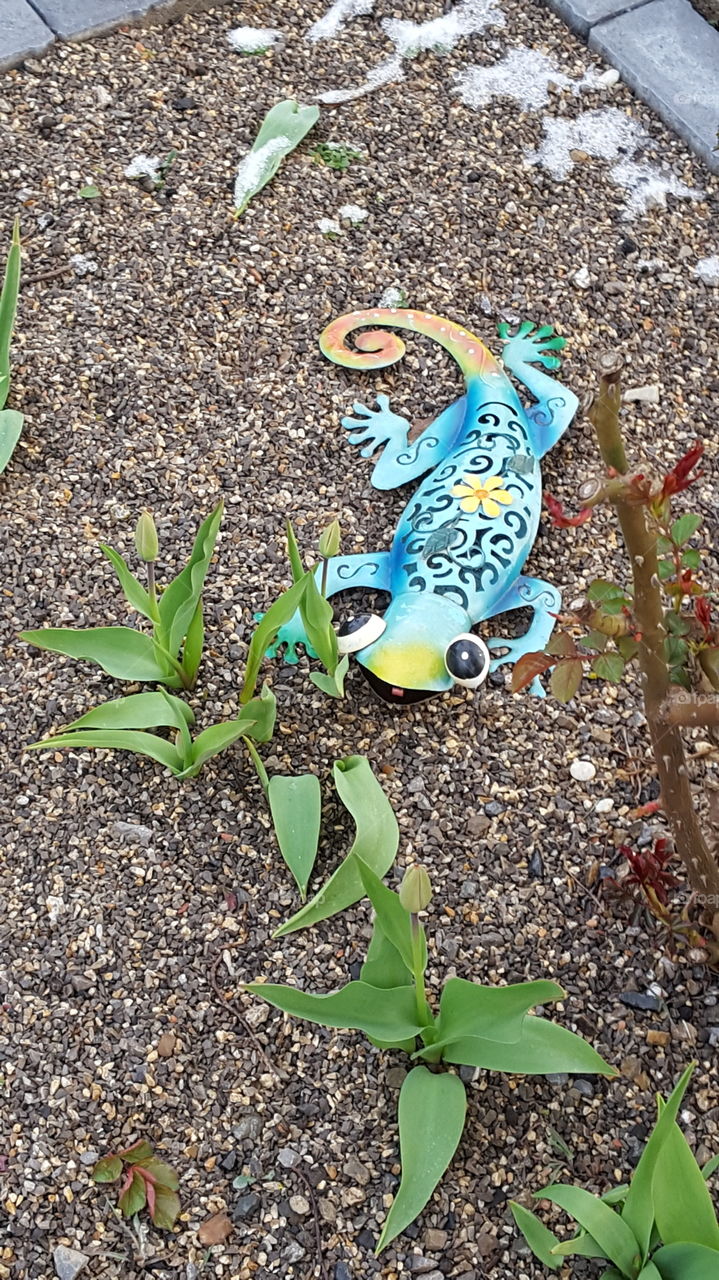 Spring - Frühling Blumen 💐🤗