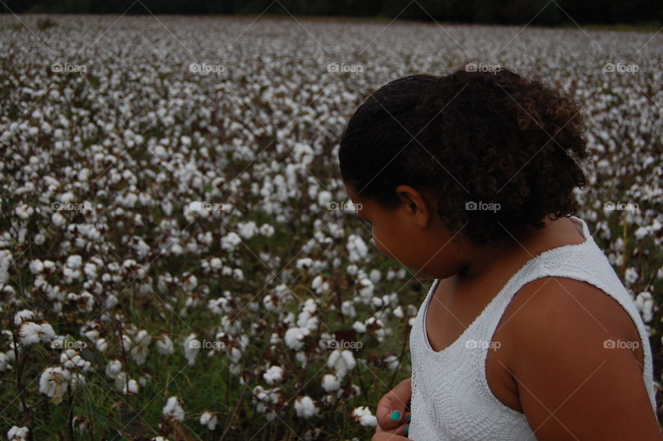 In the Cotton Field