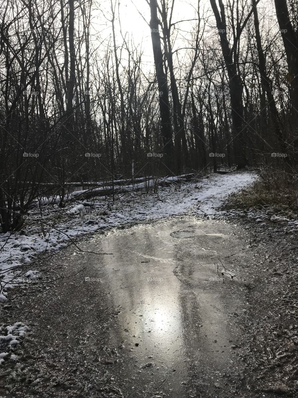 Ice and snow frozen over the trail. Trees and sunshine around. 