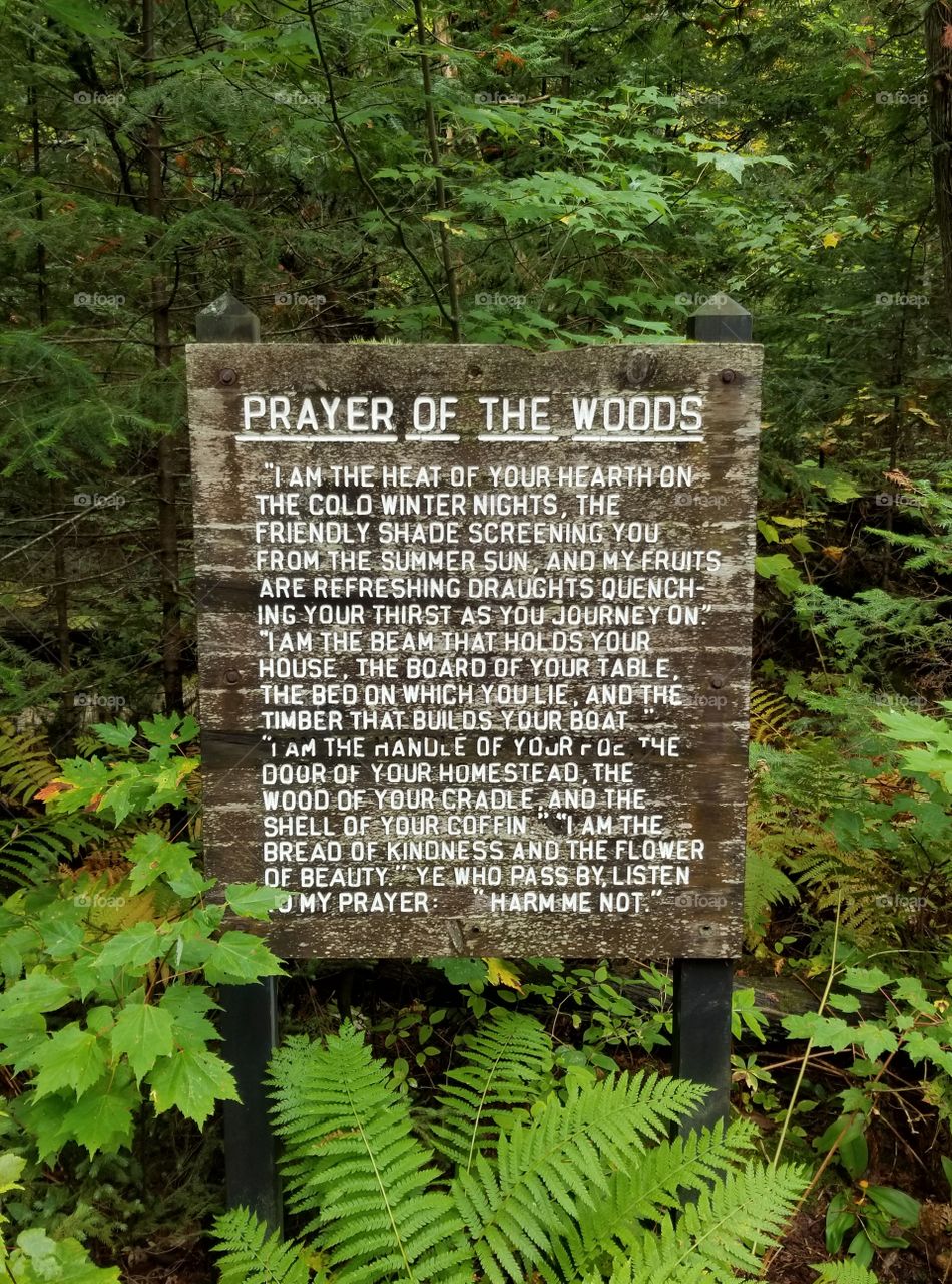 Prayer of the Woods, Tahquamenon Falls, Michigan