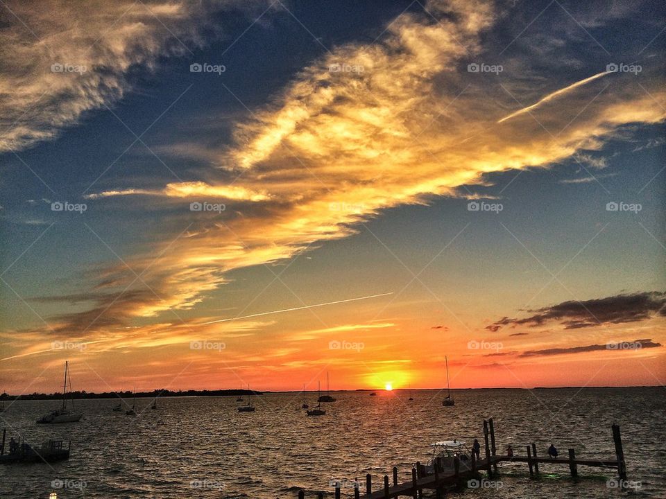Bat at Key Largo, sunset.