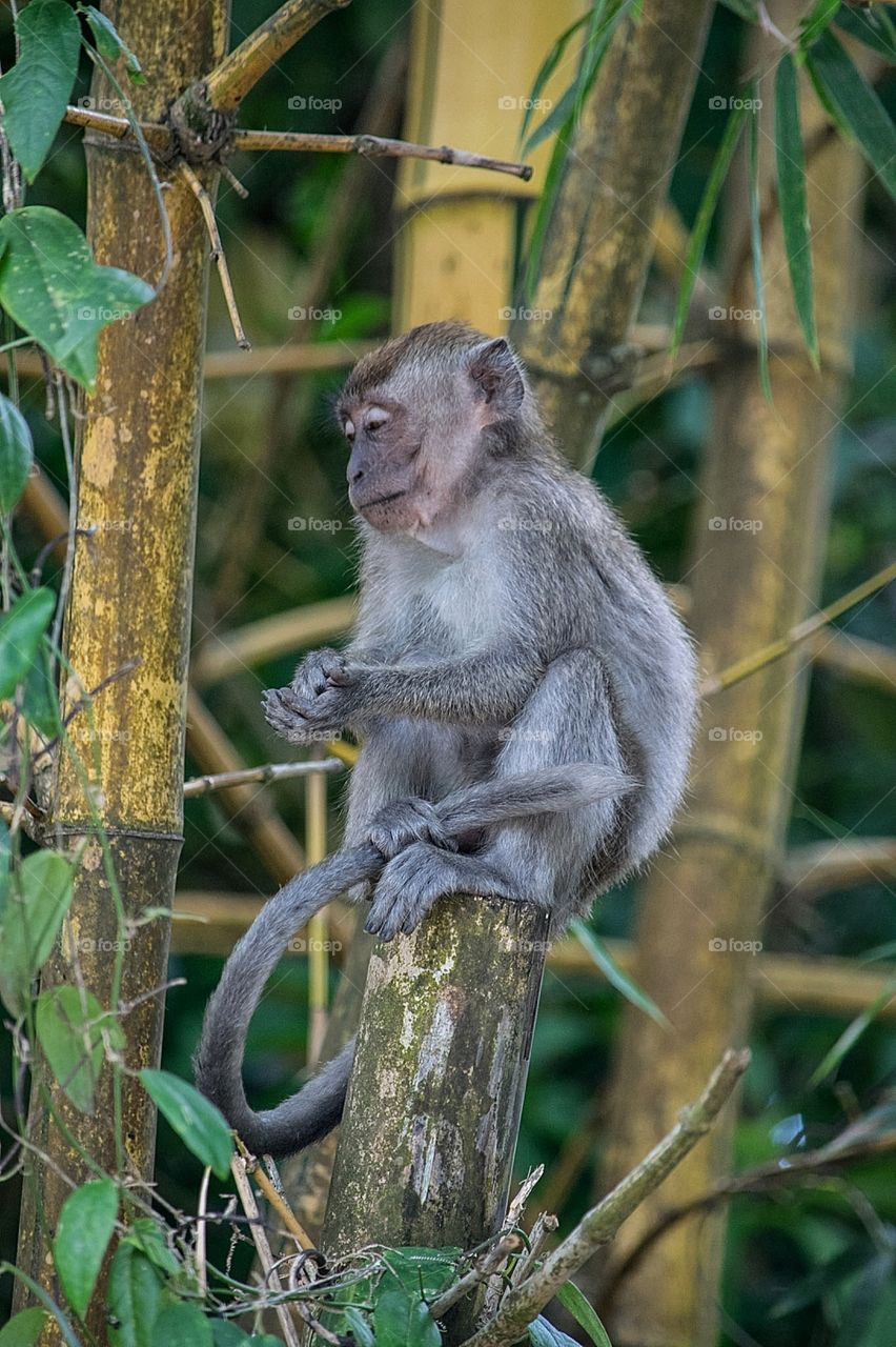 Please can I have some more