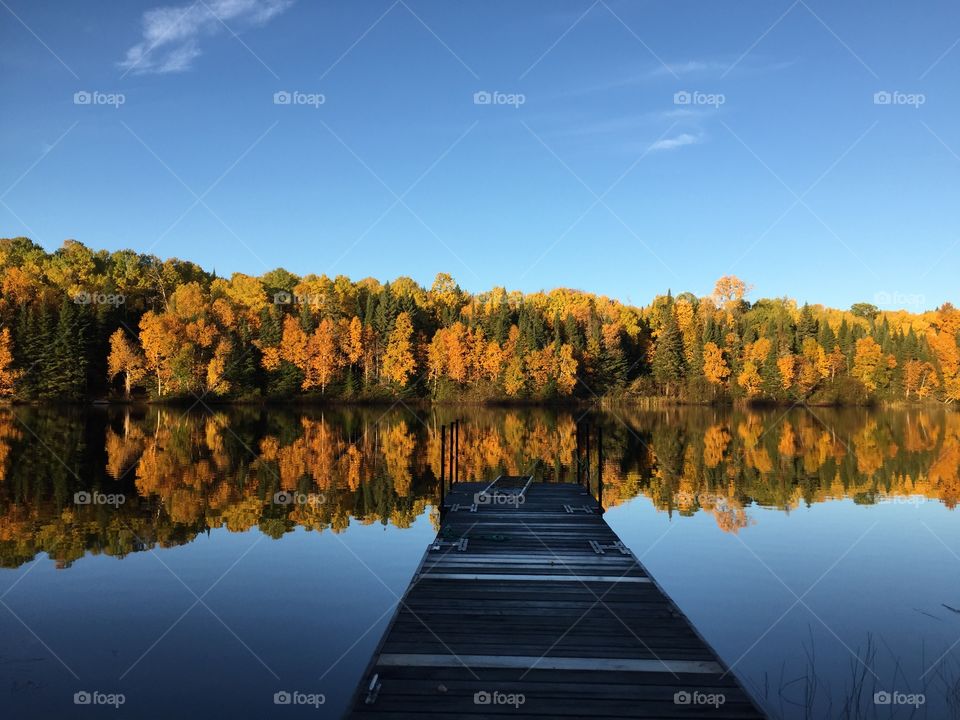 Dock and calm lake in the fall’s coloured leaves 