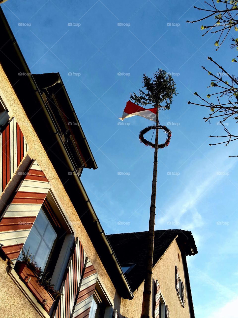 kirchweih tree beside an old house with shutters
