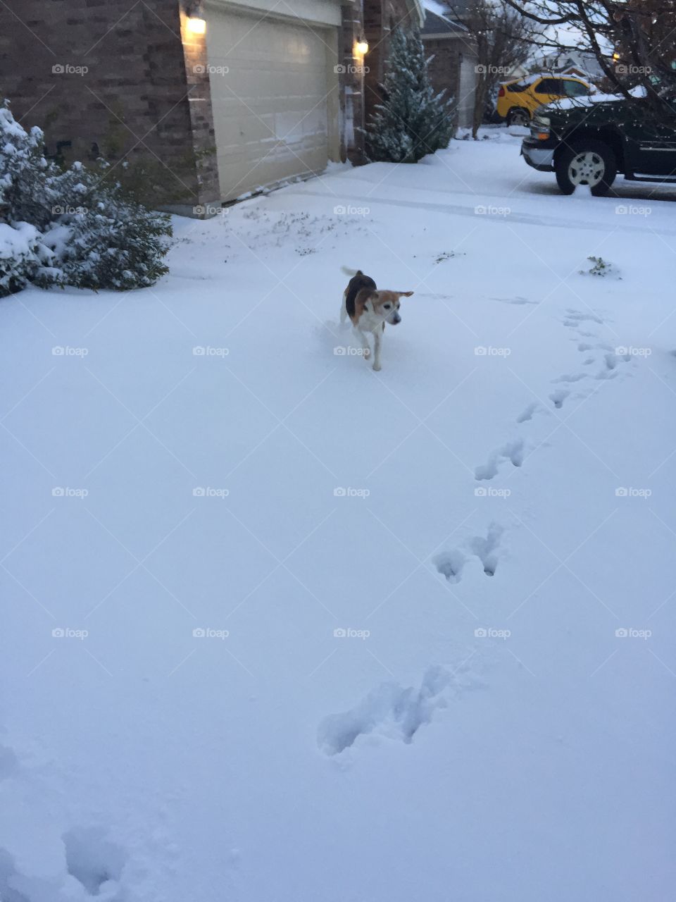 She loves her snow