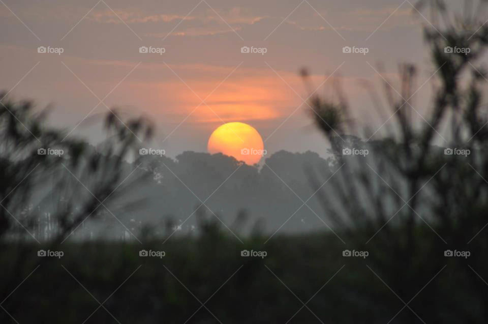 Sunset in Jensen Beach. view from my backyard in Florida