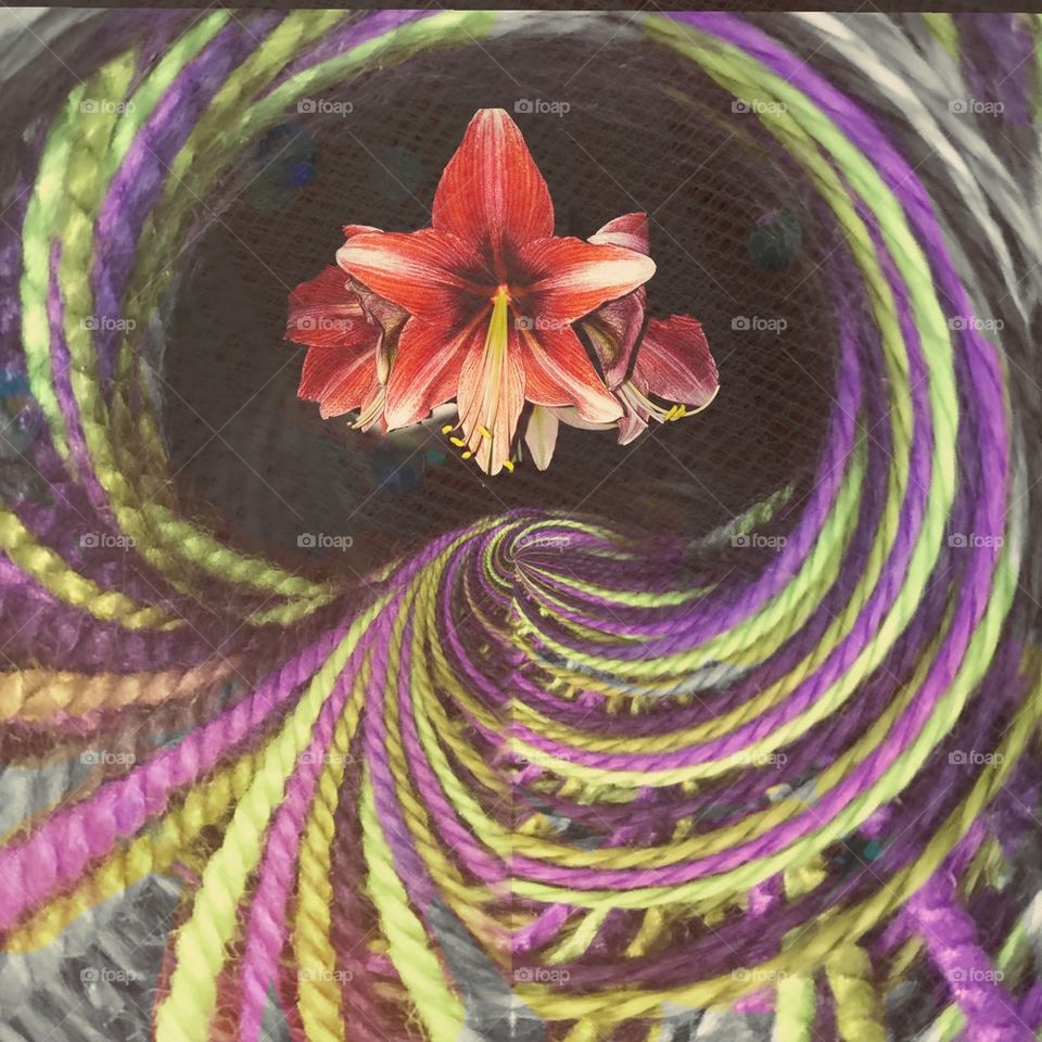 Abstract photography 