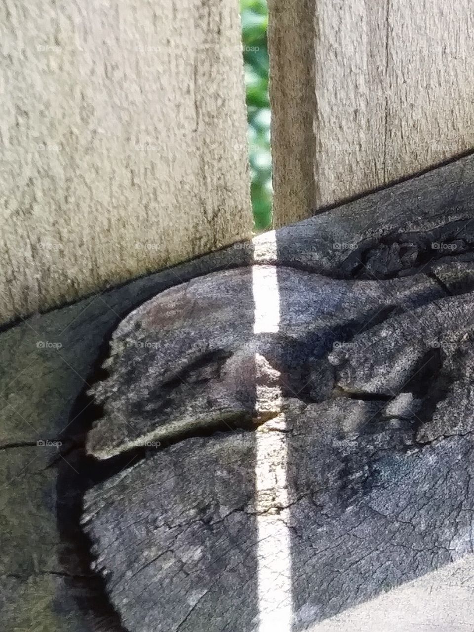 sunlight through a gap