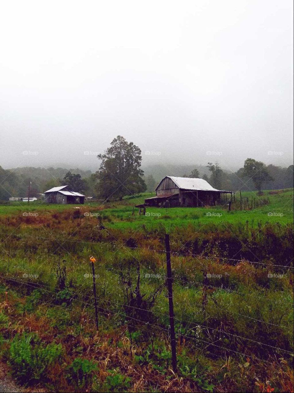 A field in the country with old dilapidated barns and such on a rainy foggy morning in the fall.