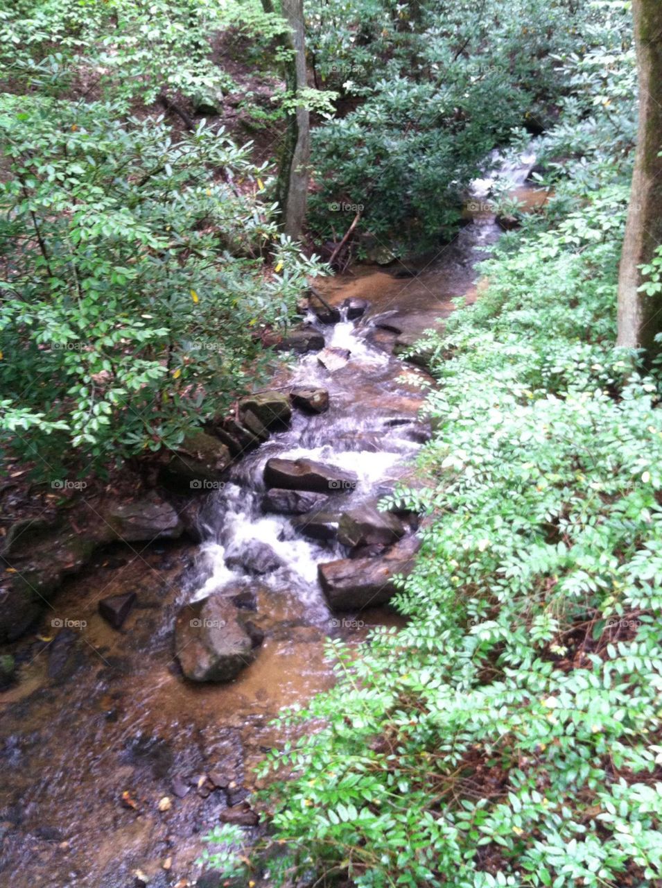Little Gap Creek, South Carolina