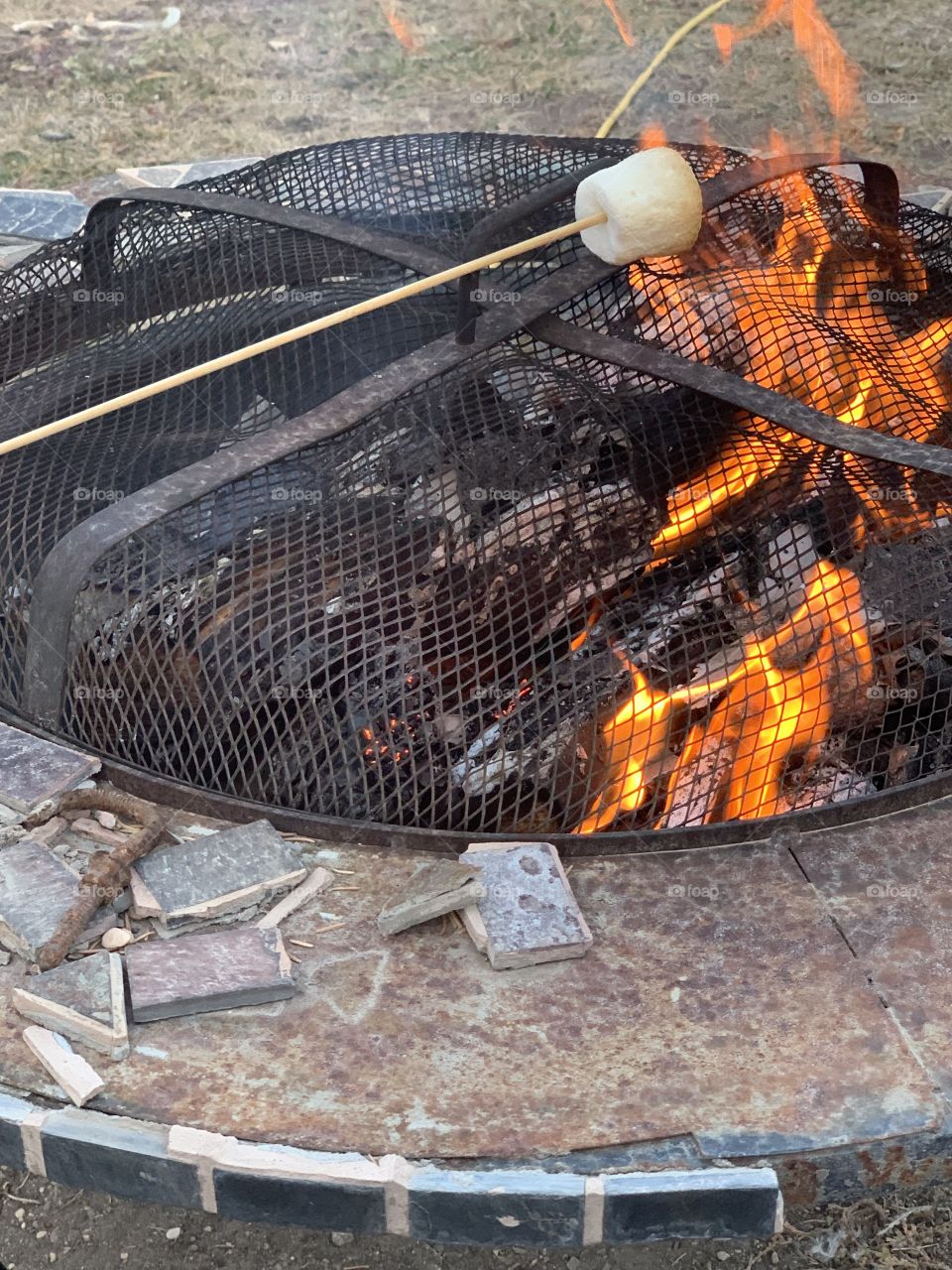 Roasting a marshmallow 