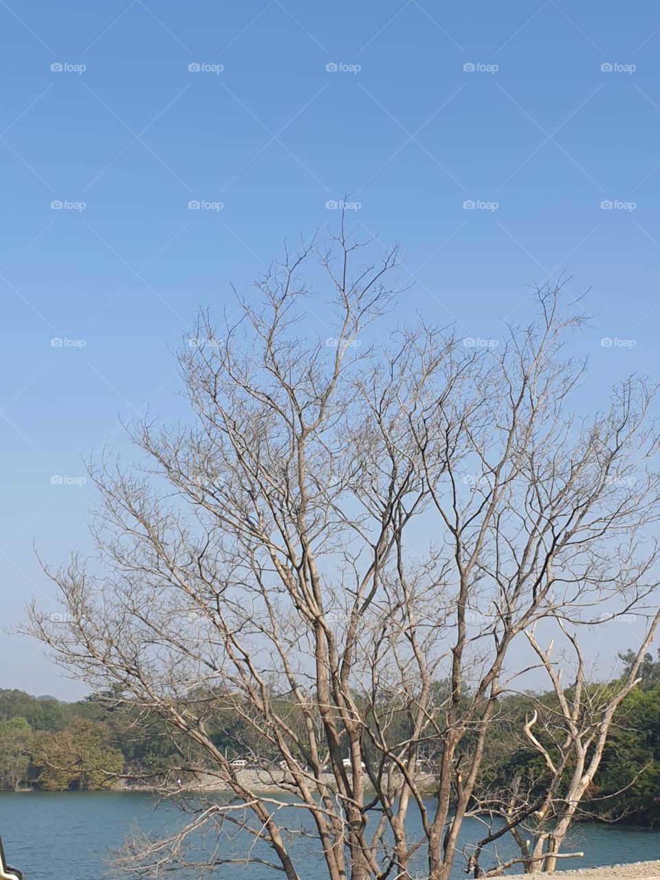 Nature lover😍😍