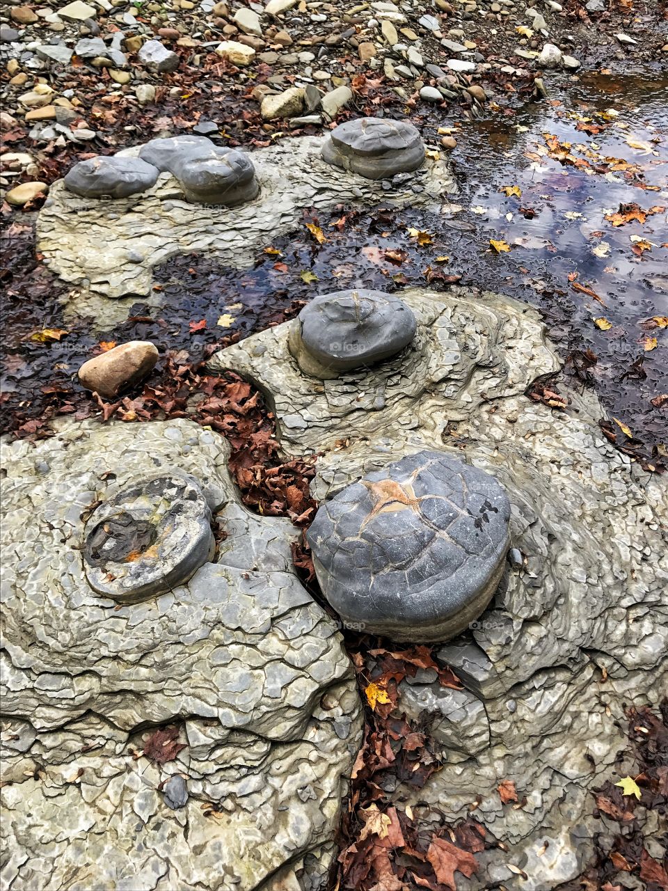 Stream rock formations