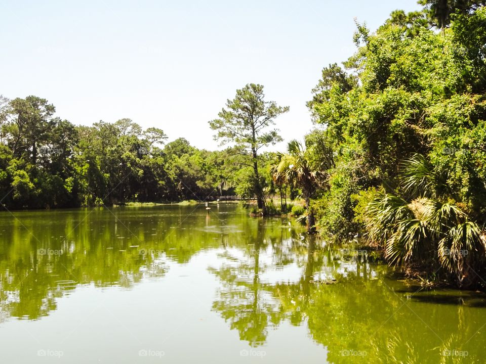 Pond at Boone Hall Plantation