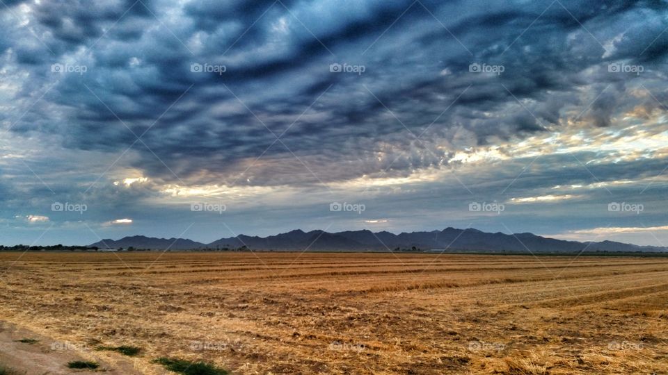 sunset over the desert