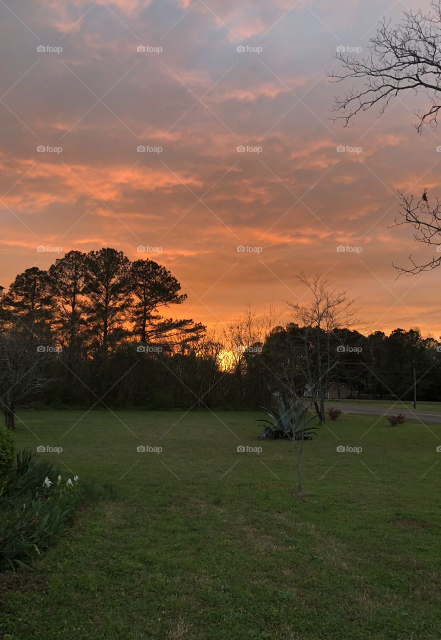 Stunning orange and light lavender sky with trees backlit and the golden sun peeking through with its gold ball.