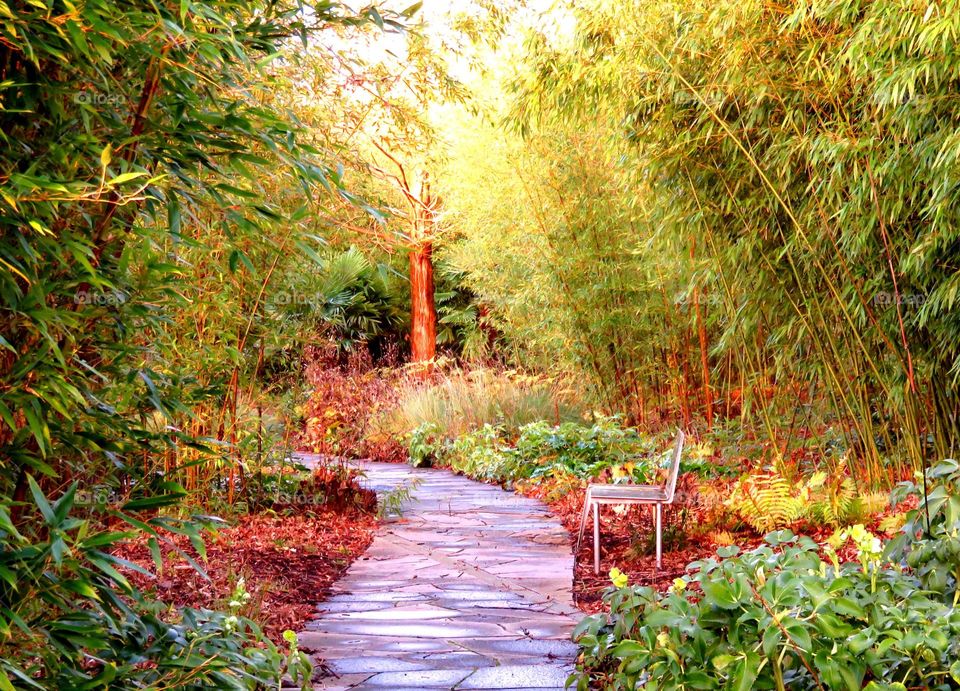 Footpath in autumn park