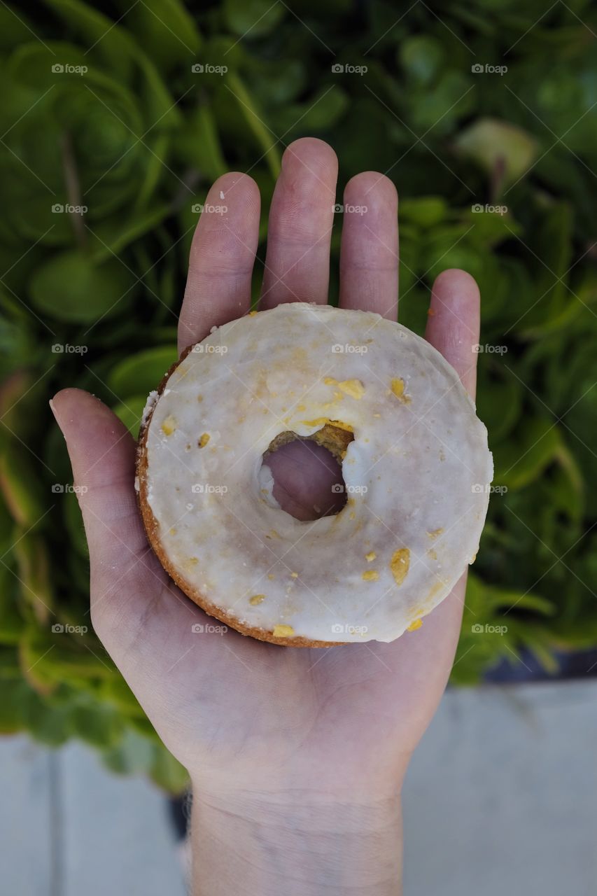 Hand holding donut.