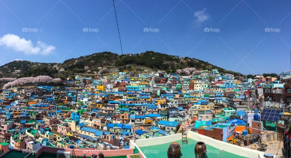 The view over Gamcheon Cultural Village in Busan, South Korea. It is an absolutely gorgeous place to explore.