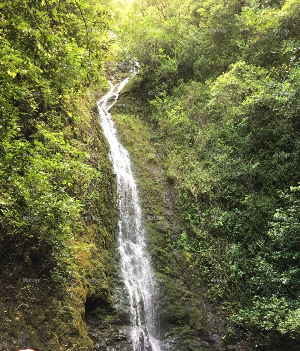This is Lulumahu Falls on the island of Oahu. It’s a bit off the beaten path but the reward is this beautiful, refreshing waterfall.