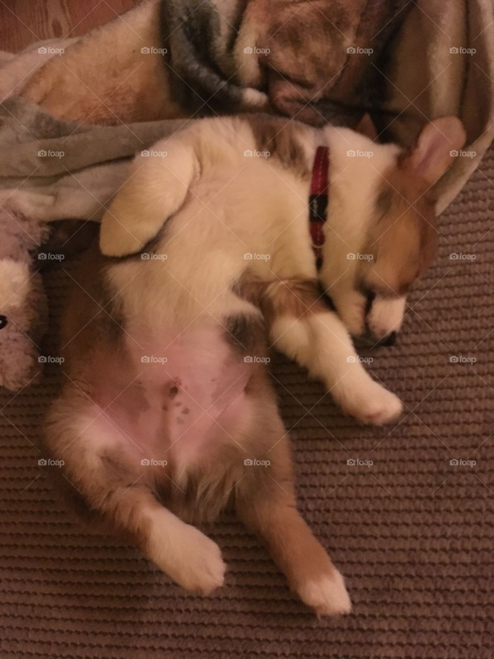 A second pic of my comfortable position!