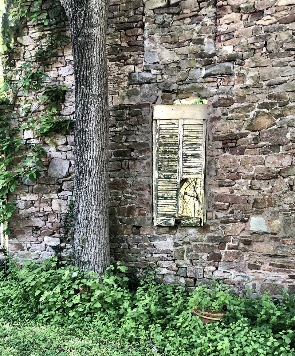 Rustic abandoned house in the woods