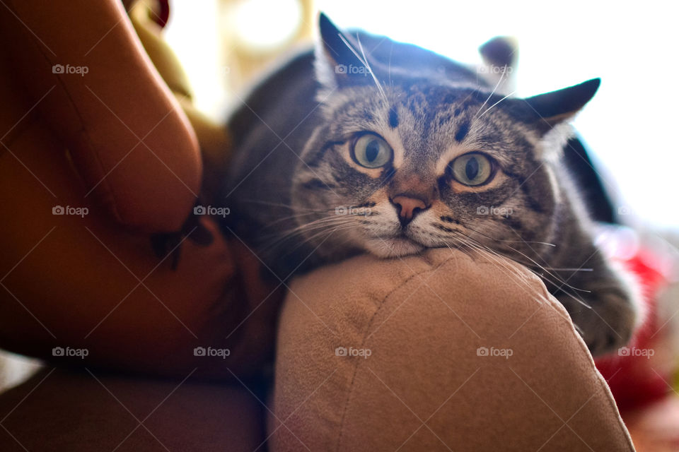 where played there fell to sleep