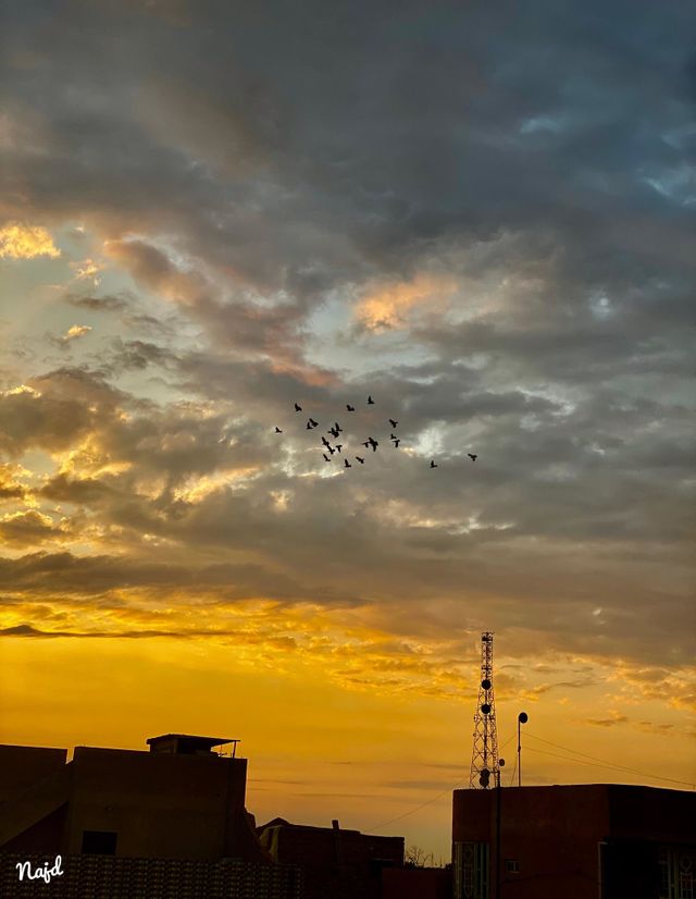 Sun rise