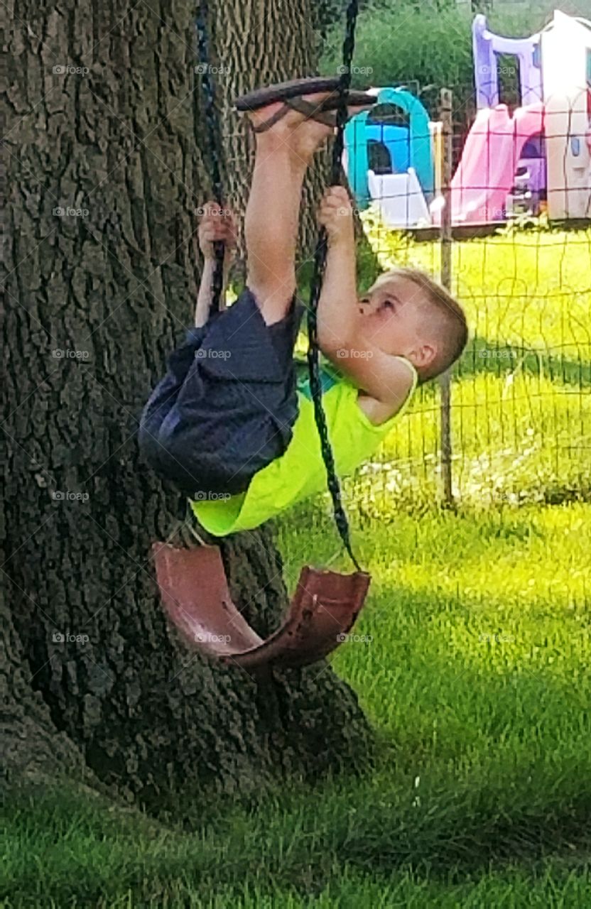Boy Swining on Tree Swing