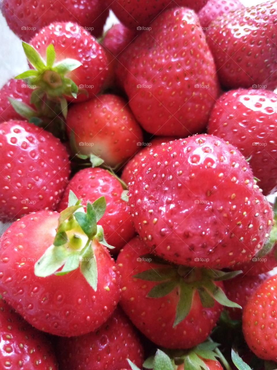 Erdbeeren