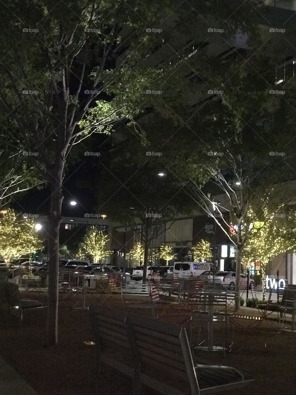 No Person, Tree, Home, Street, Architecture