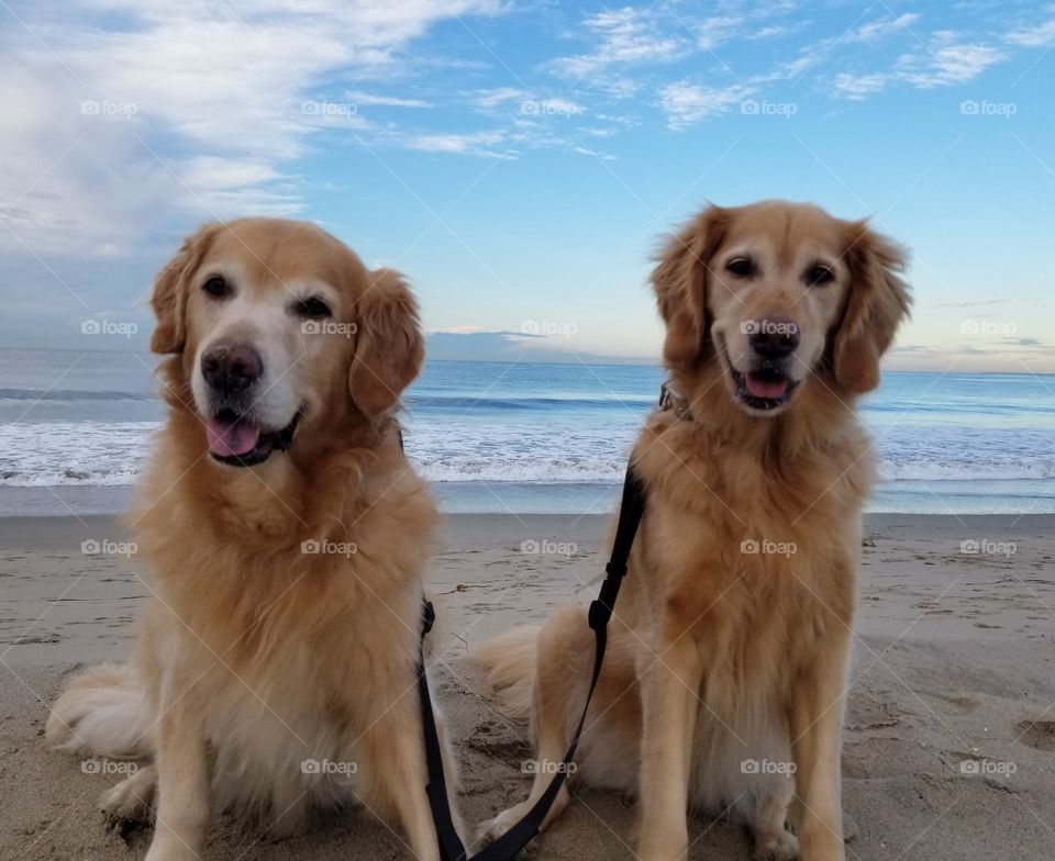 Beach and best friends
