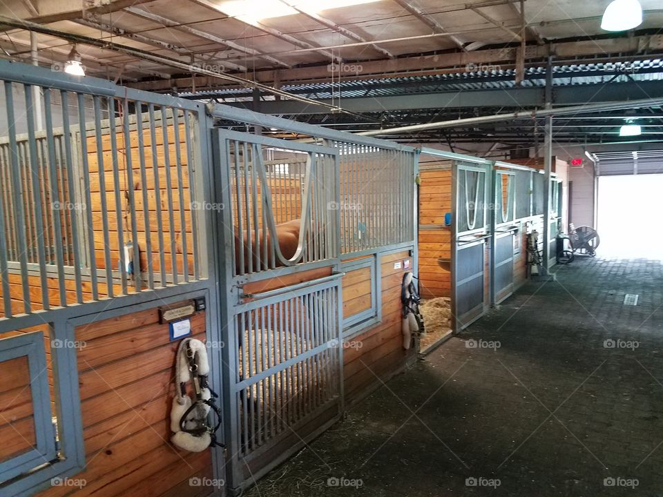 Inside horse stables at an equestrian farm.