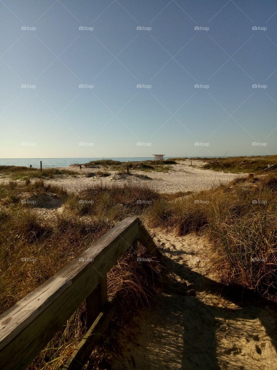 dunes Cape Canaveral Florida