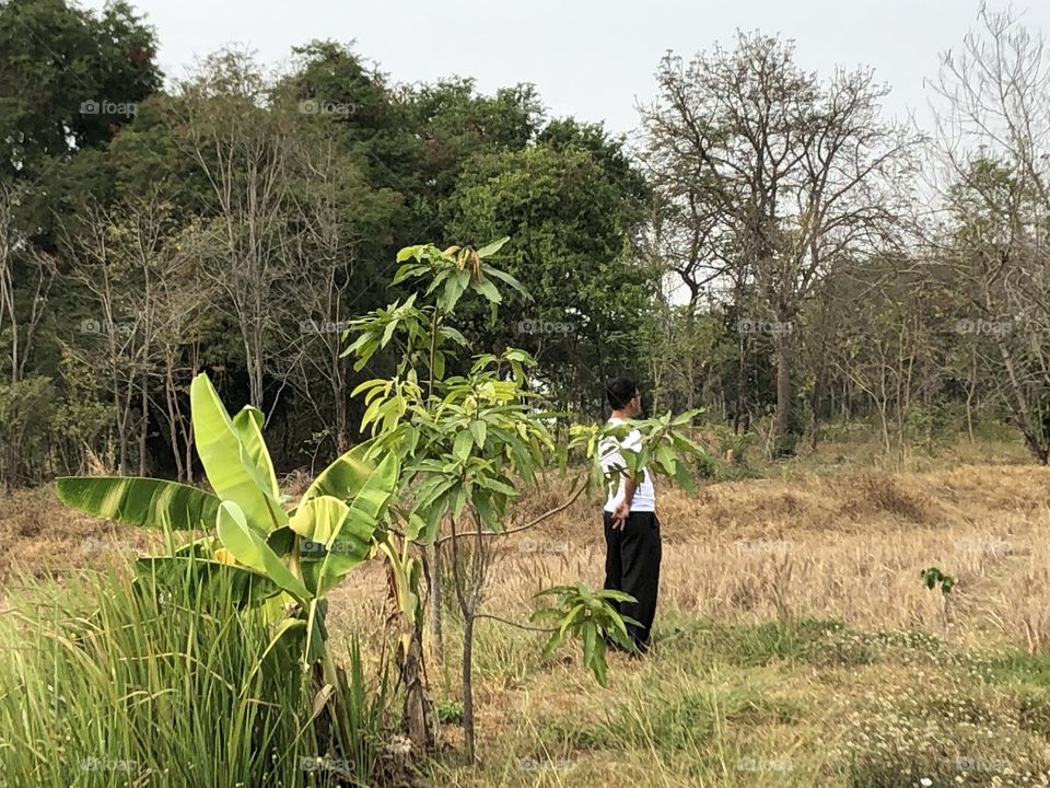 Holiday with my family, Countryside ( my garden)