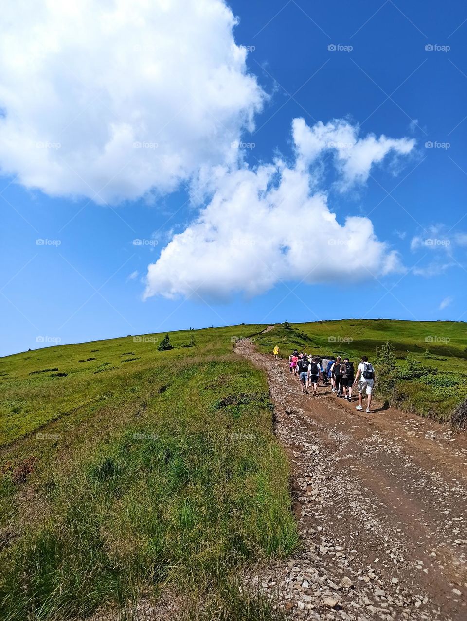mountain road, road to the lake in the mountains, people walk along a winding road in the mountains. Dragobrat. Lake Hereshaska, Ukraine, Carpathians, meadow, valley in the mountains, summer, travel, journey, tourism, tour, adventure, interesting lif