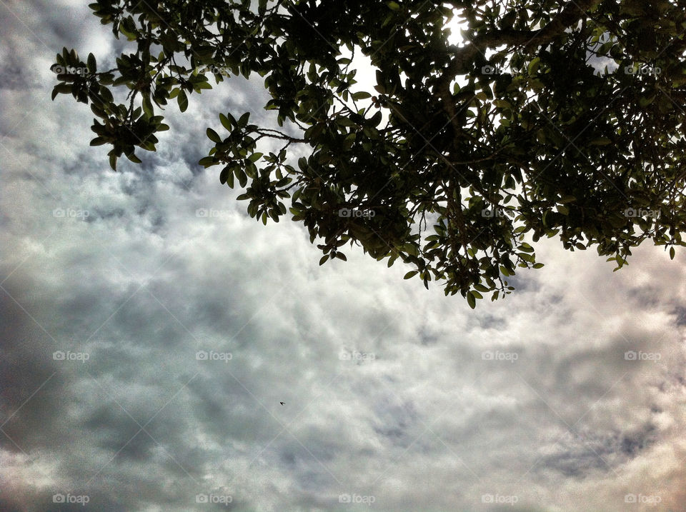 sky nature blue outdoors by king