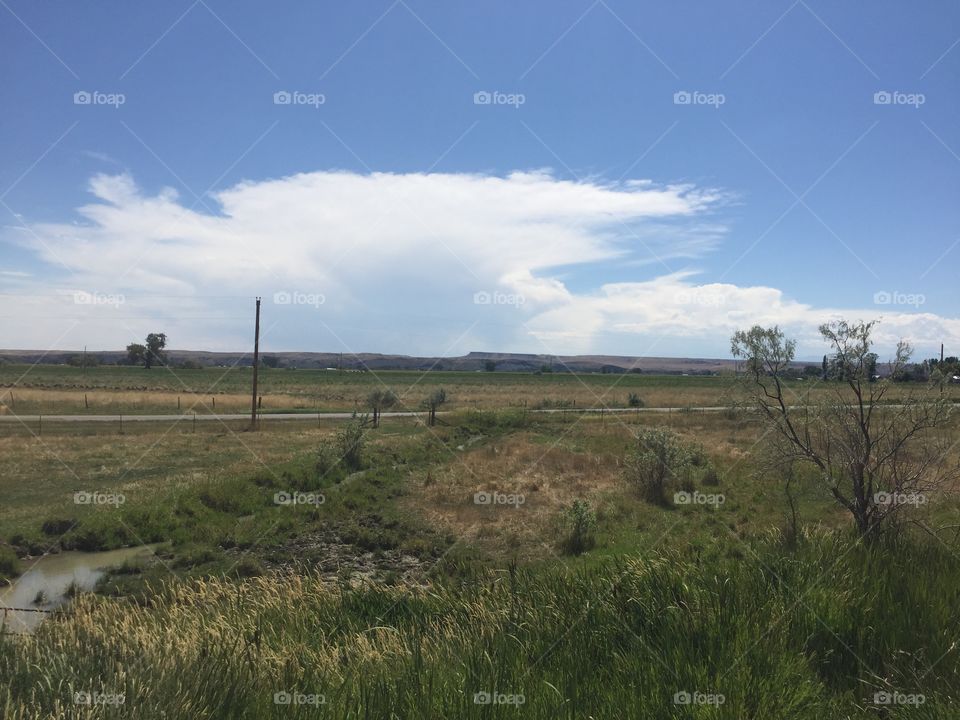 Landscape, Agriculture, No Person, Nature, Farm
