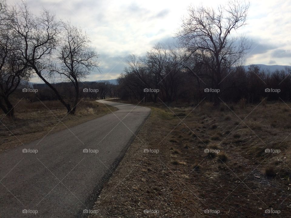 Quiet walk on the trail 