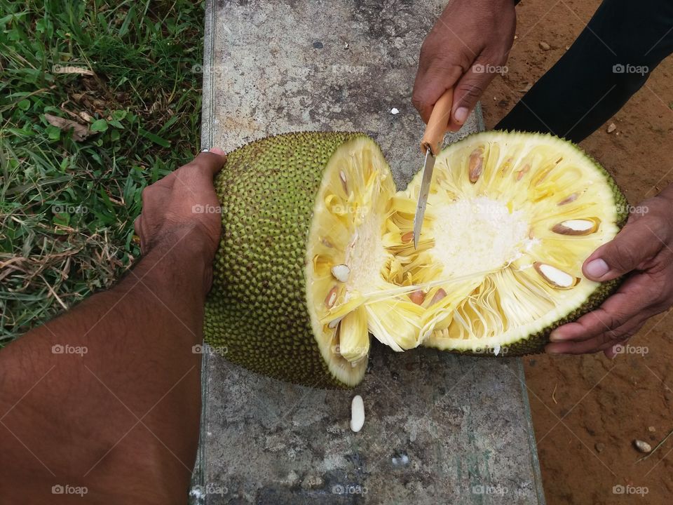 jack fruit