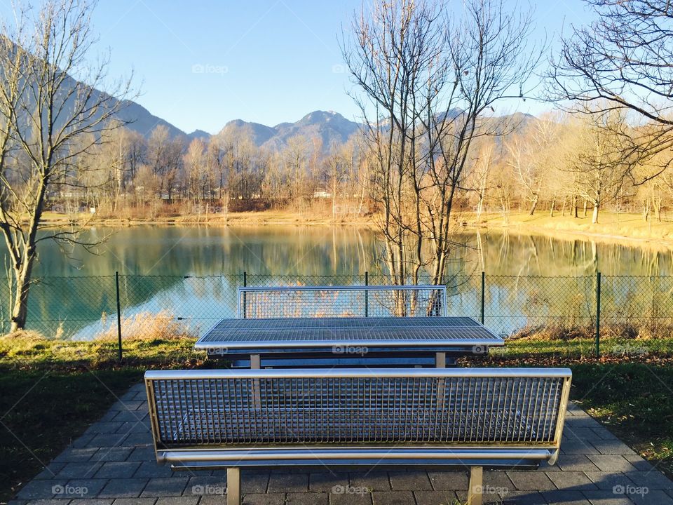 Fall, Lake, Tree, Water, Park