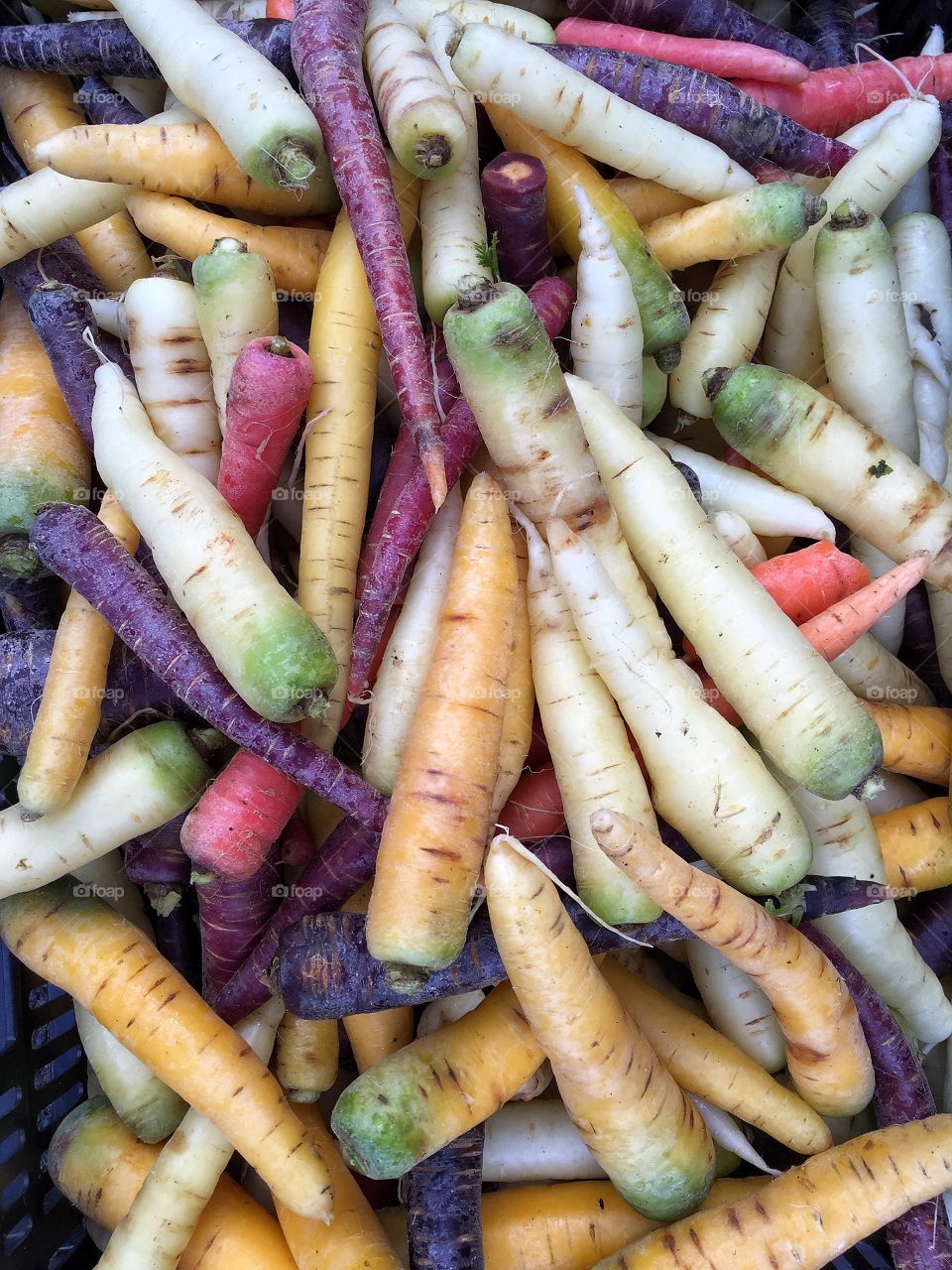 Full frame of organic vegetables