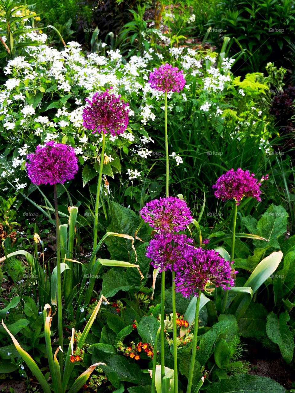 Garden spheres