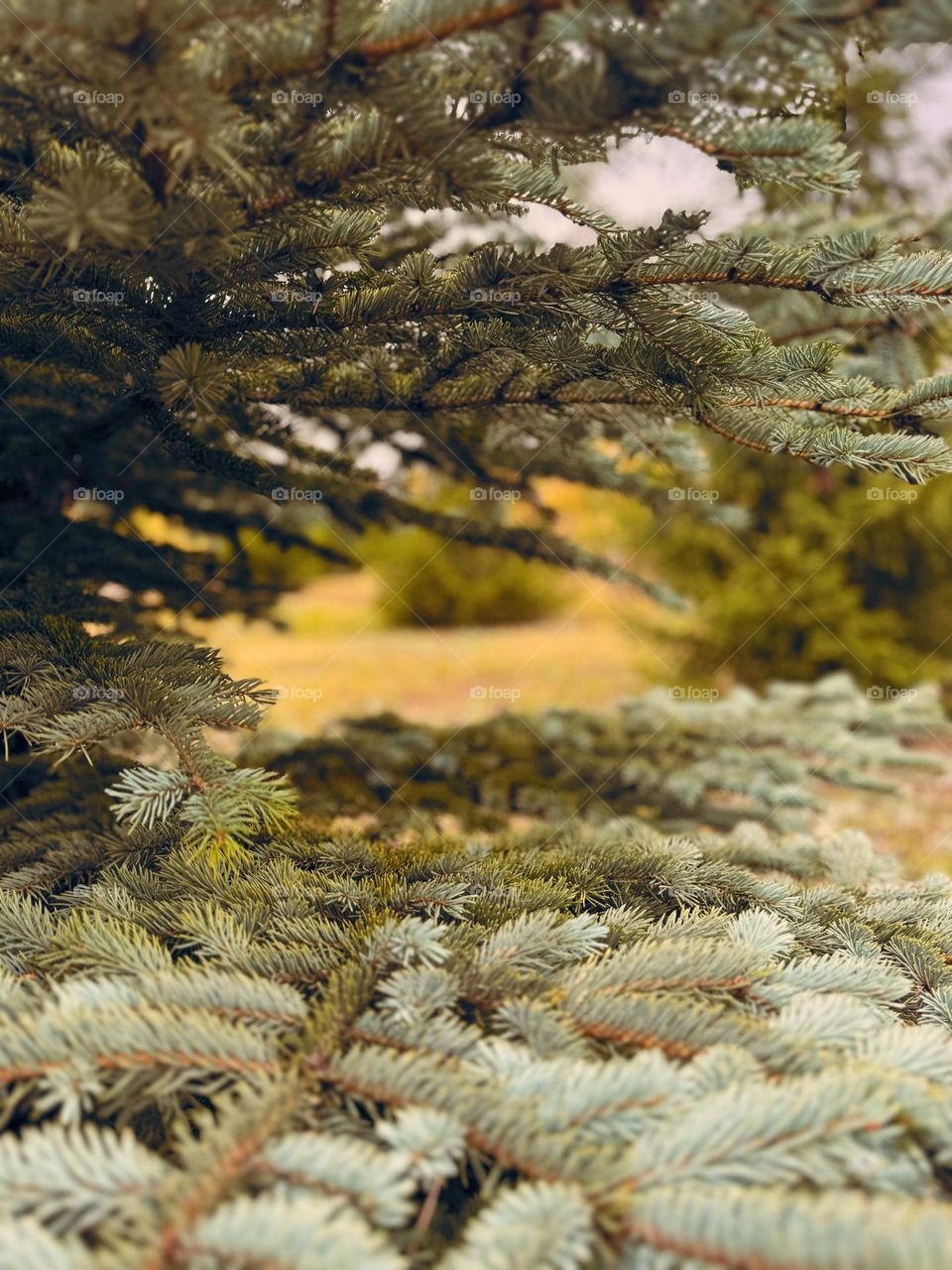 Take a closer look....It's spring there